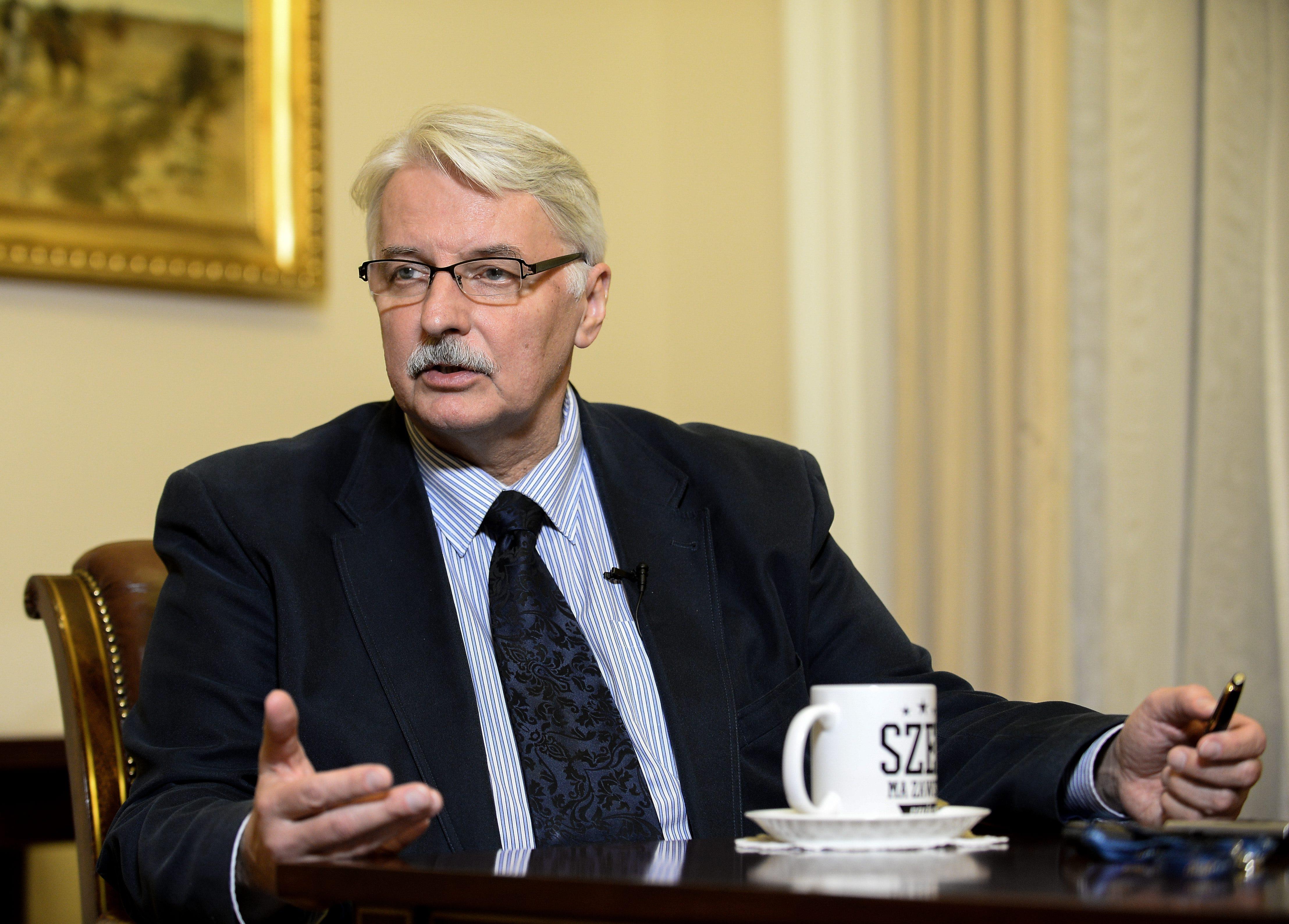 Witold Waszczykowski Unia Europejska. Polska dyplomacja MSZ. Polska