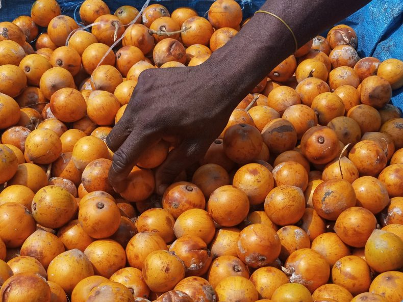 11 Amazing Health Benefits of Tropical Agbalumo (Star Apple) Fruits