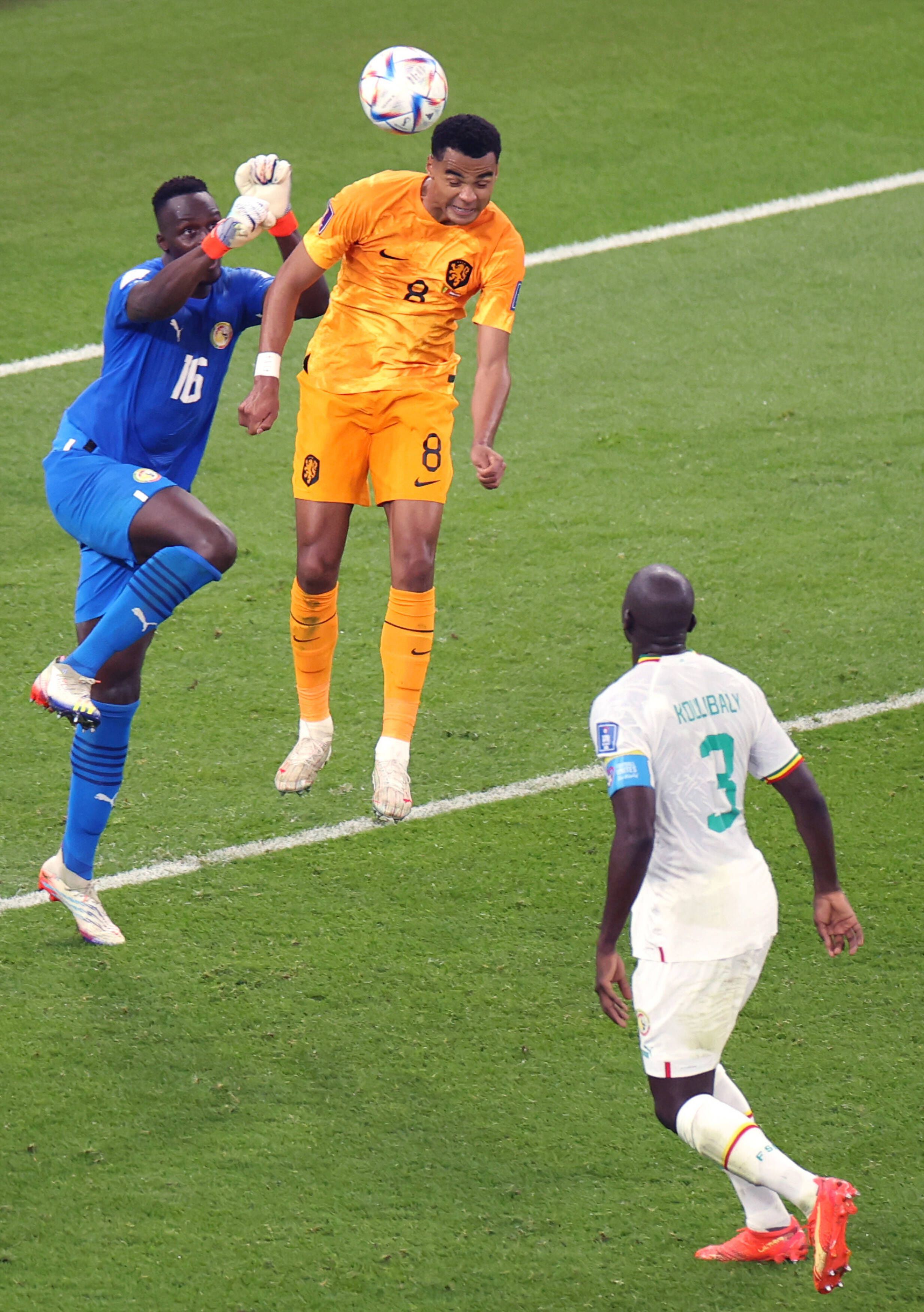 Cody Gakpo rose highest to punish the unconvincing Edouard Mendy and put the Netherlands ahead