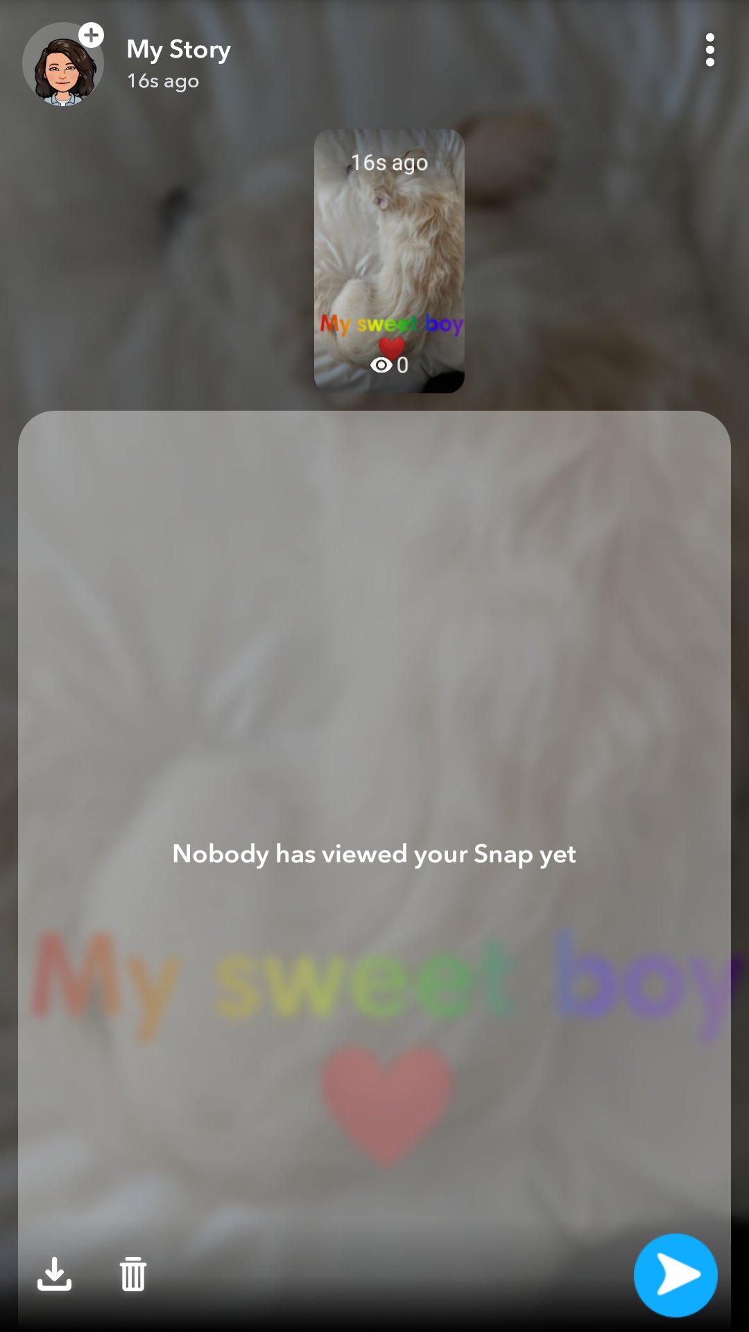 how-to-delete-a-snapchat-story-on-your-iphone-or-android-before-it