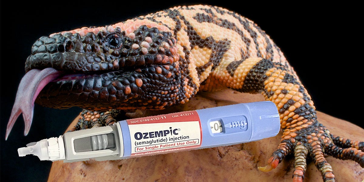 glp 1 discovery gila monster We wouldn't have Ozempic without Gila monsters — their hunger-regulating  venom inspired weight-loss drugs