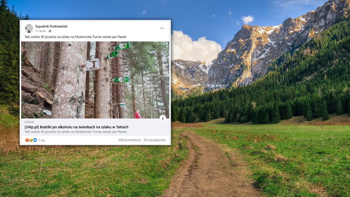 Udekorowali" drzewa w Tatrach. Turysta pokazał zdjęcie - Podróże