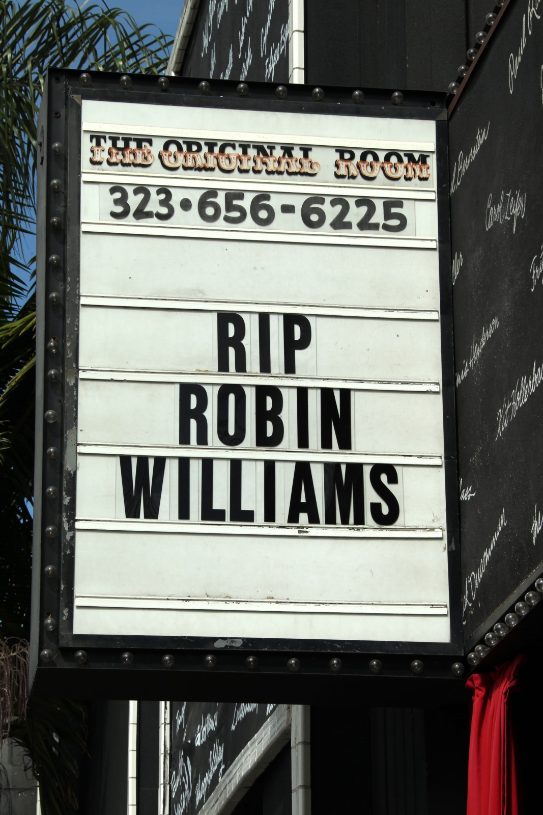 Świat opłakuje Robina Williamsa