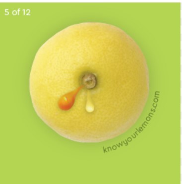 If you see these signs in your breast seek medical attention