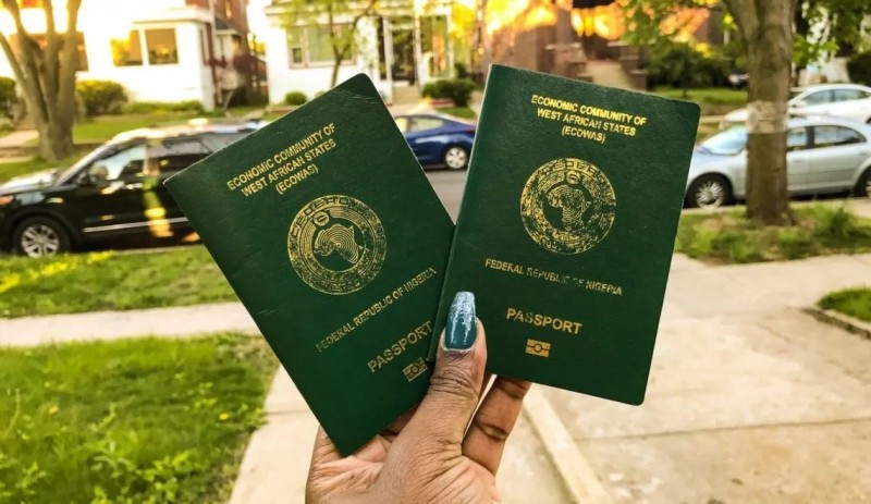 Ever wondered how to go about renouncing your citizenship? | Pulse Nigeria