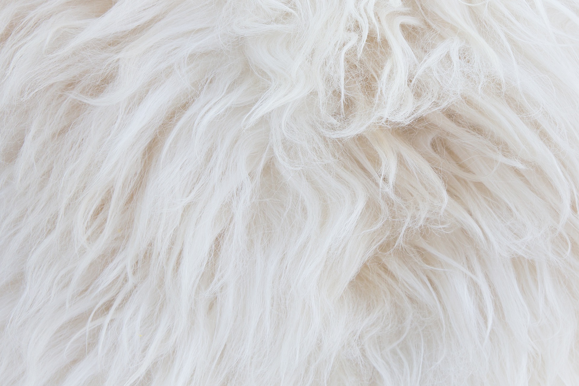 Slendytubbies 3 skins body. белая шерсть на английском. белая шерсть. шерсть текстура 3д макс. текстура шерсти.