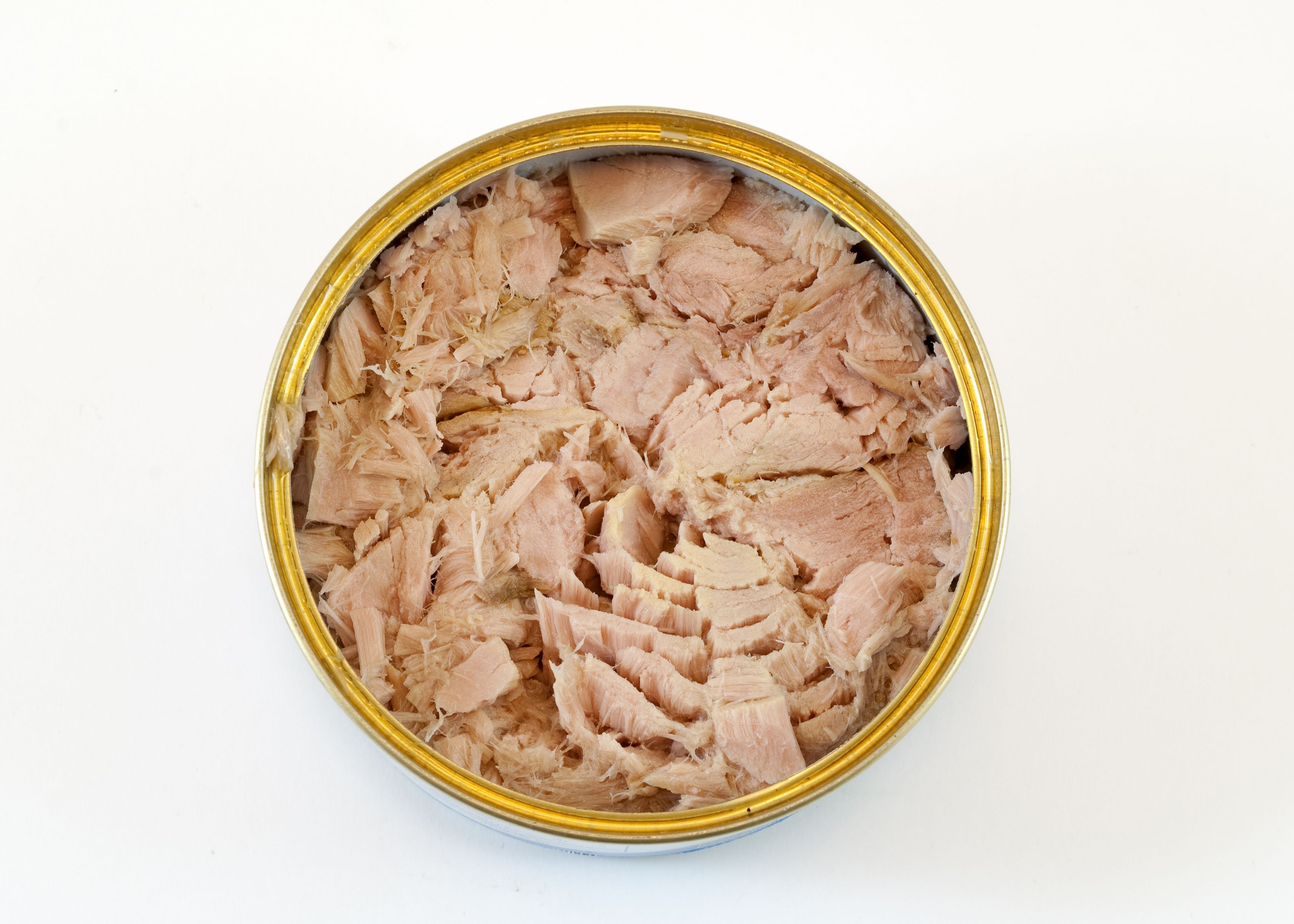 Why tuna is not safe for pregnant women