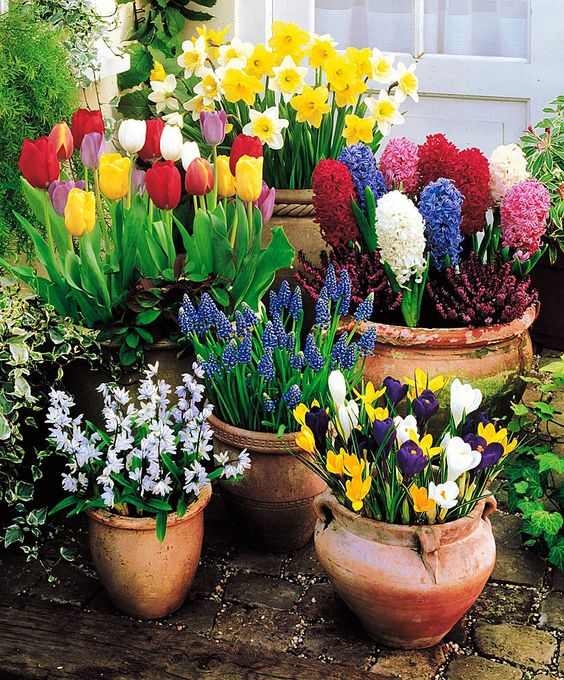 Díszítsük otthonunkat színpompás tavaszi virágokkal - Blikk
