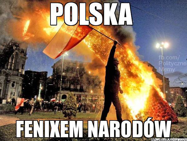 Tęcza pali się ze wstydu, a Korwin-Mikke walczy z lewactwem. Najlepsze memy! - Hity internetu - Rozrywka - seriale, plotki, hity internetu, programy tv - Dziennik.pl - Dziennik.pl