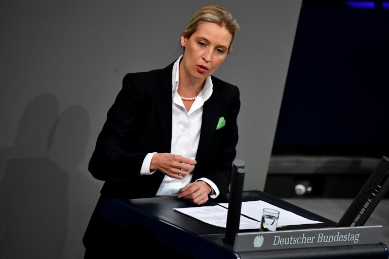 Recent political pressure in Europe from political leaders like AfD co-leader Alice Weidel threatens the integrity of the Schengen area's border-free principle.