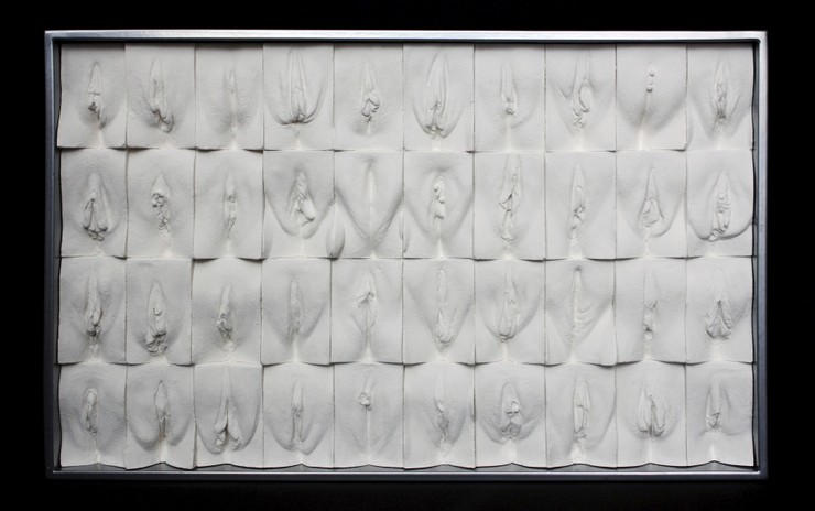 Jamie McCartney vaginagyűjteménye - Fotó: Northfoto