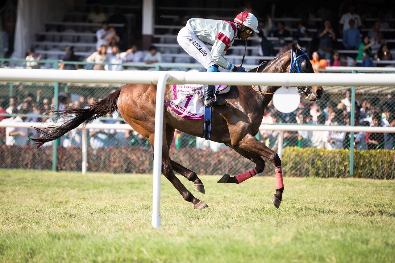Experience horse racing thrills at Newton Abbot: Enjoy excitement & fun!