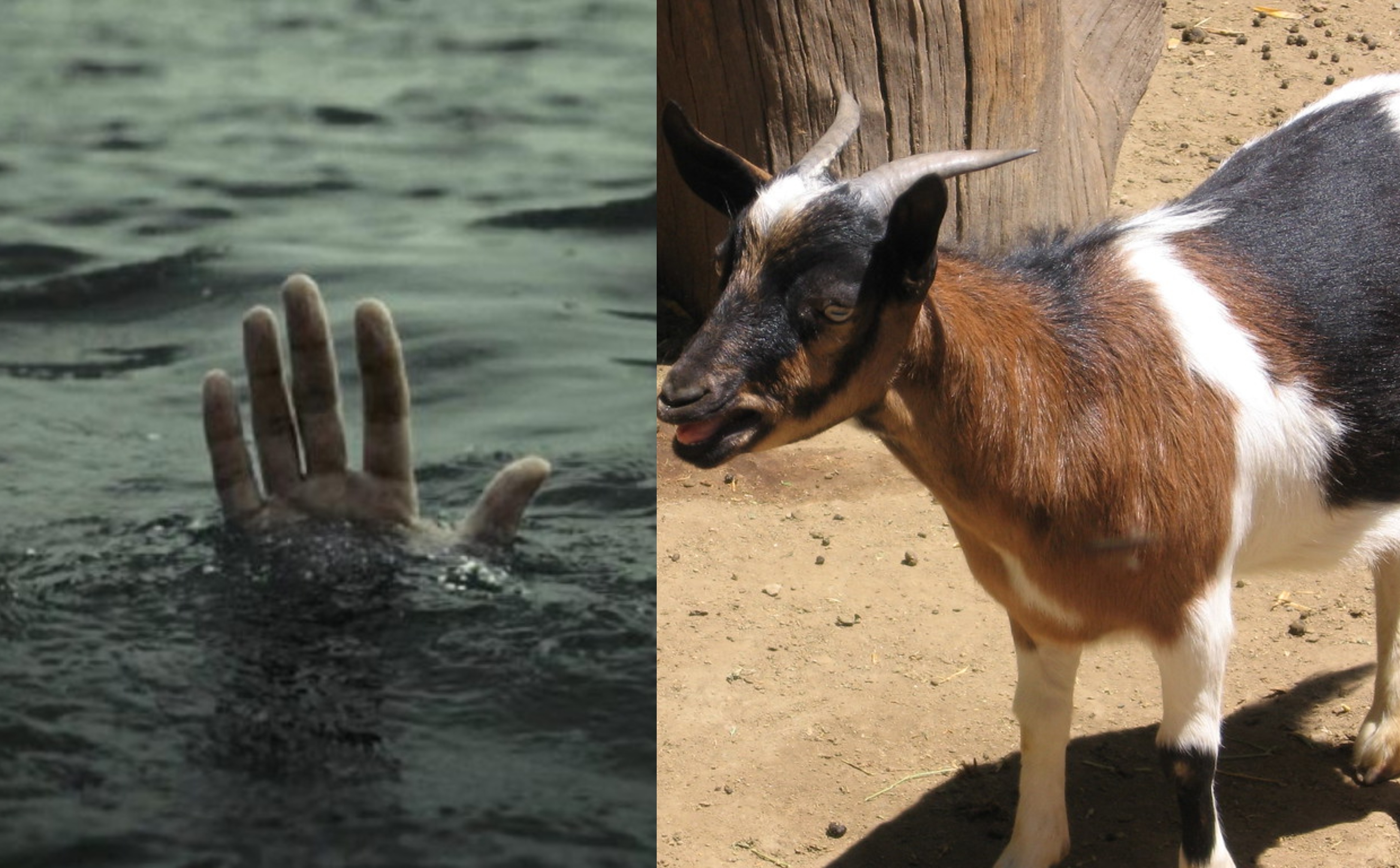 Ghanaian man drowns while rescuing neighbour’s drowning goat from deep well
