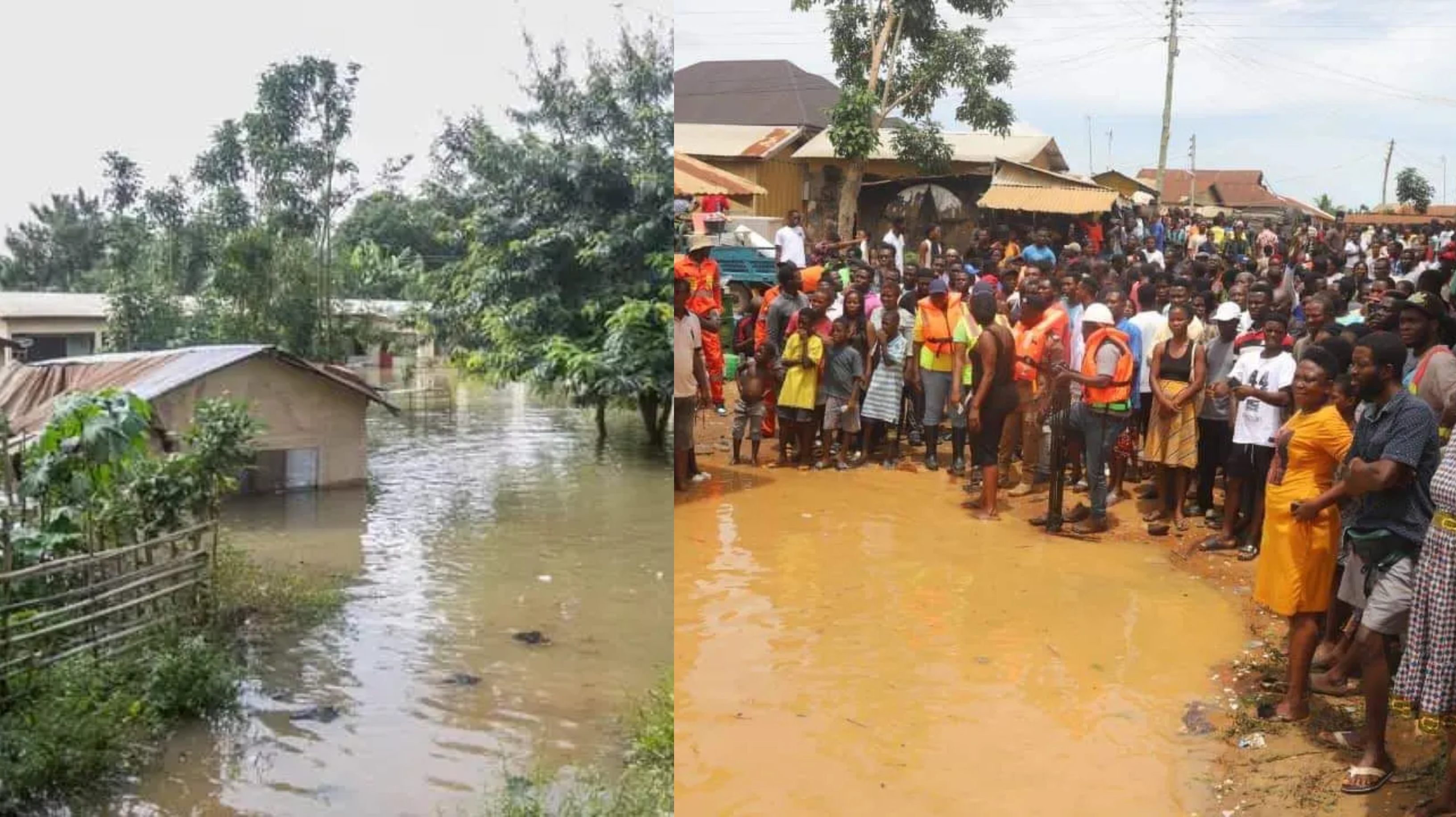 Relocate Akosombo Dam-induced flood victims to Saglemi houses – AFCSOs to Akufo-Addo