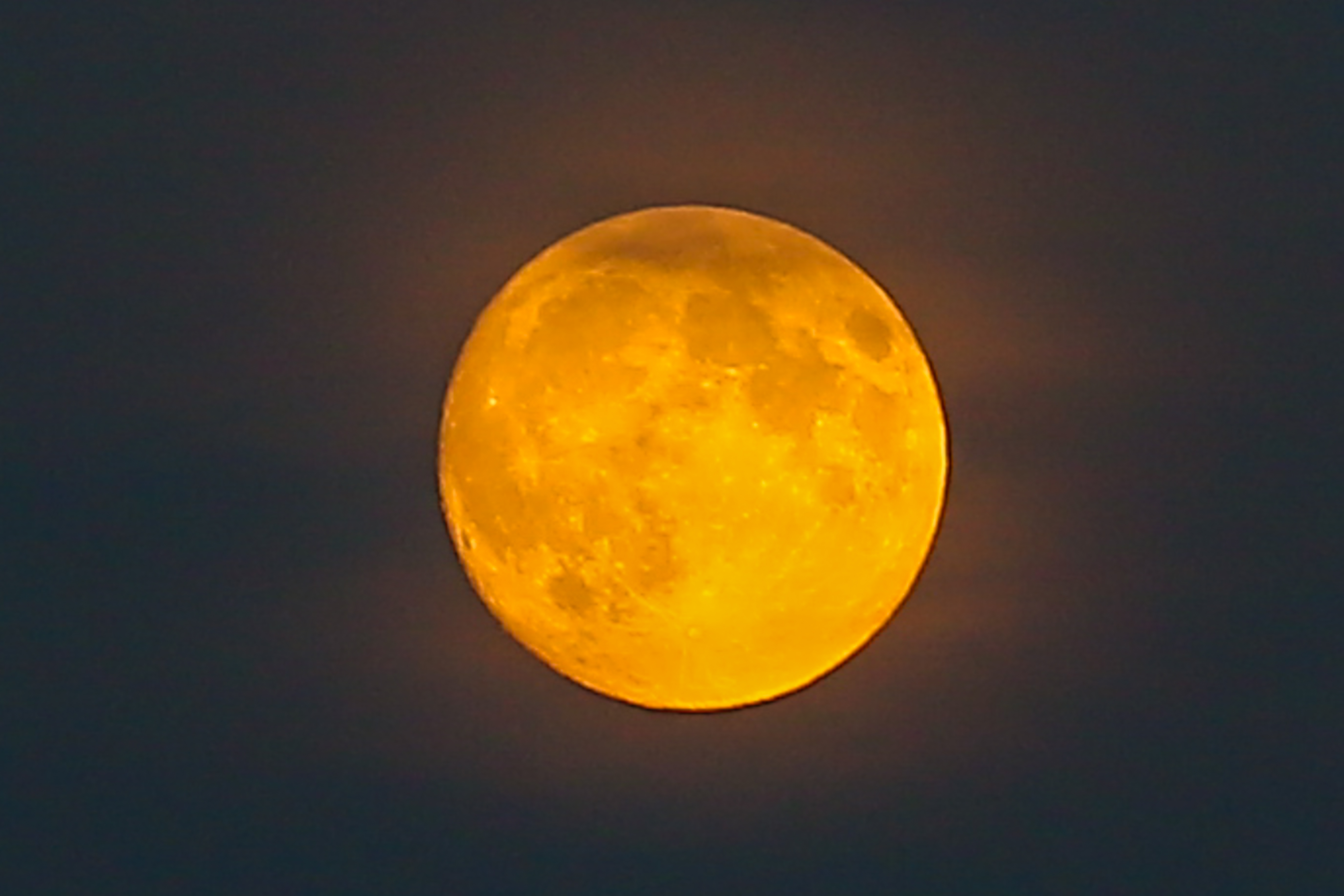 Луна как желтый медведь. Желтая Луна. Оранжевая Луна. Восход кровавой Луны. Луна с жёлтым оттенком.