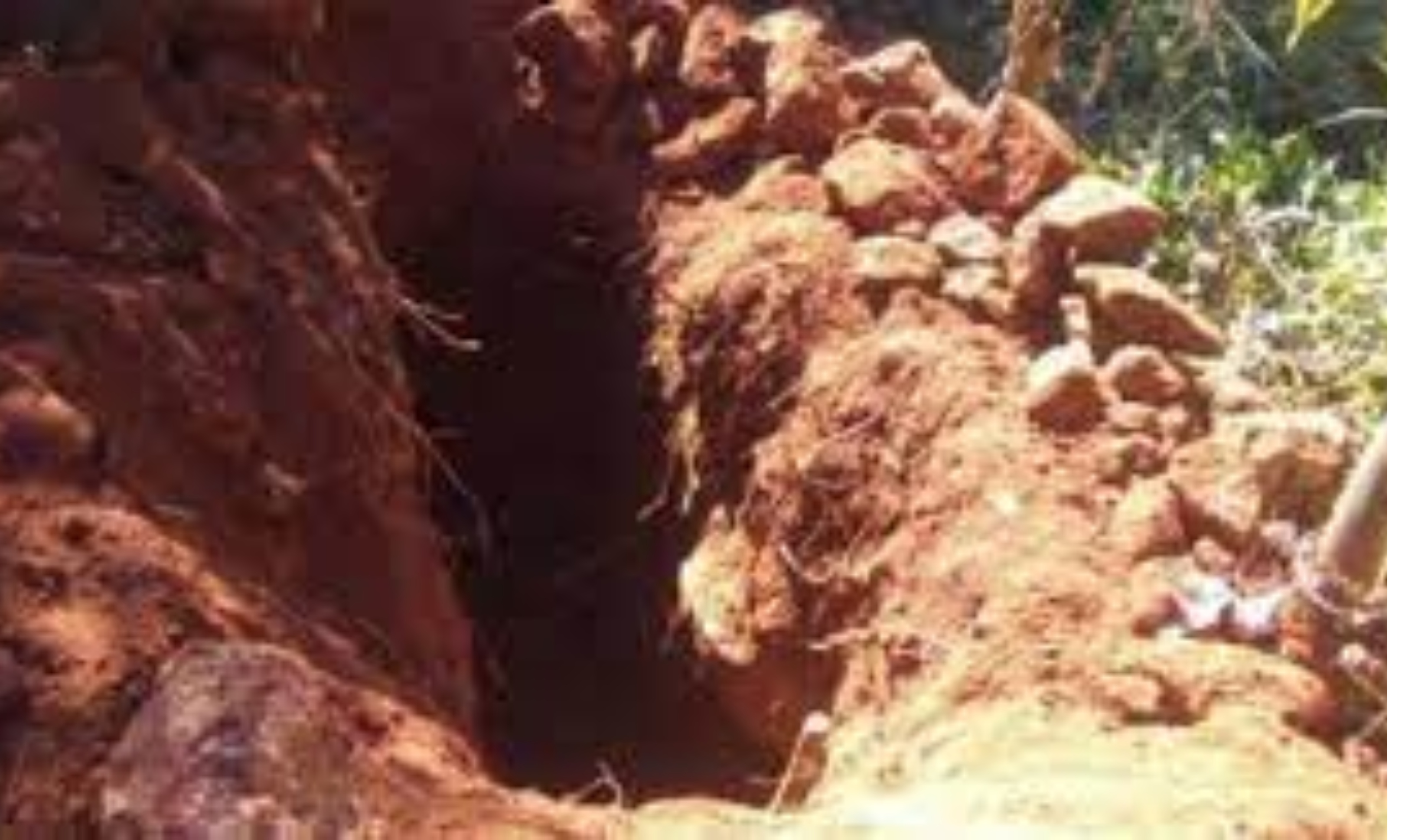 Robbers storm cemetery, scatter concrete, exhume albino’s corpse