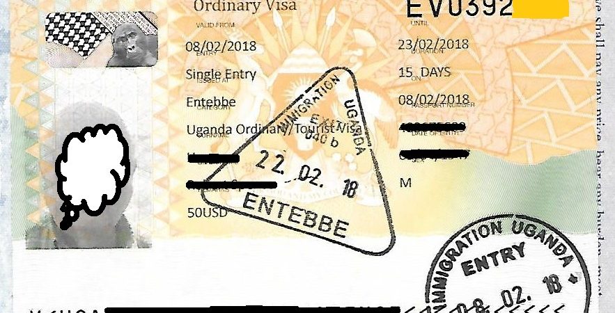 African countries making progress with visa openness - Report | Pulse Uganda