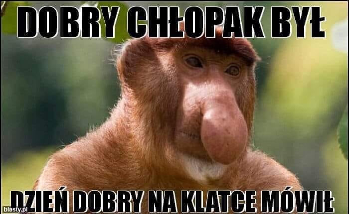 Memy Po Walce Artura Szpilki I Derecka Chisory Sport