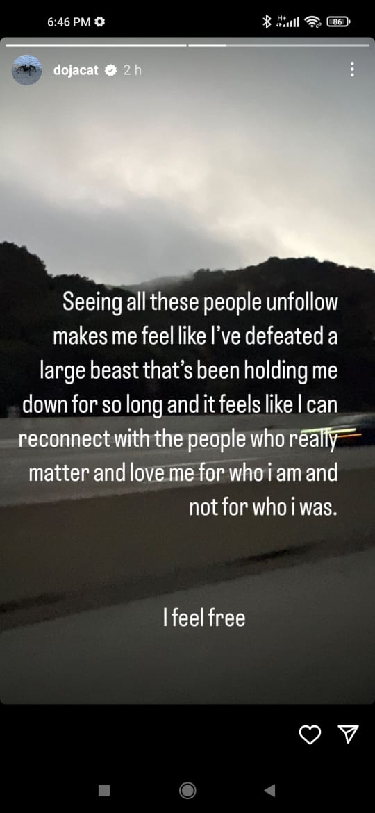 Doja Cats Instagram story post expressing her relief about losing fans