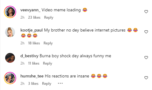 Some Instagram users reactions [Instagram/Pulsenigeria247]