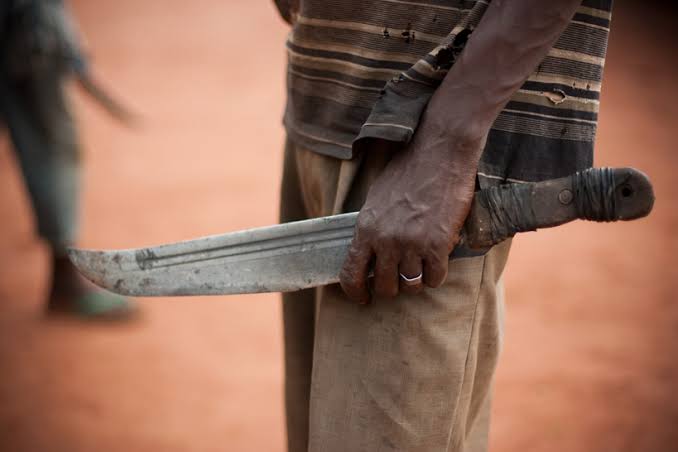 Nigerian man kills elder brother with machete for constantly demanding sex
