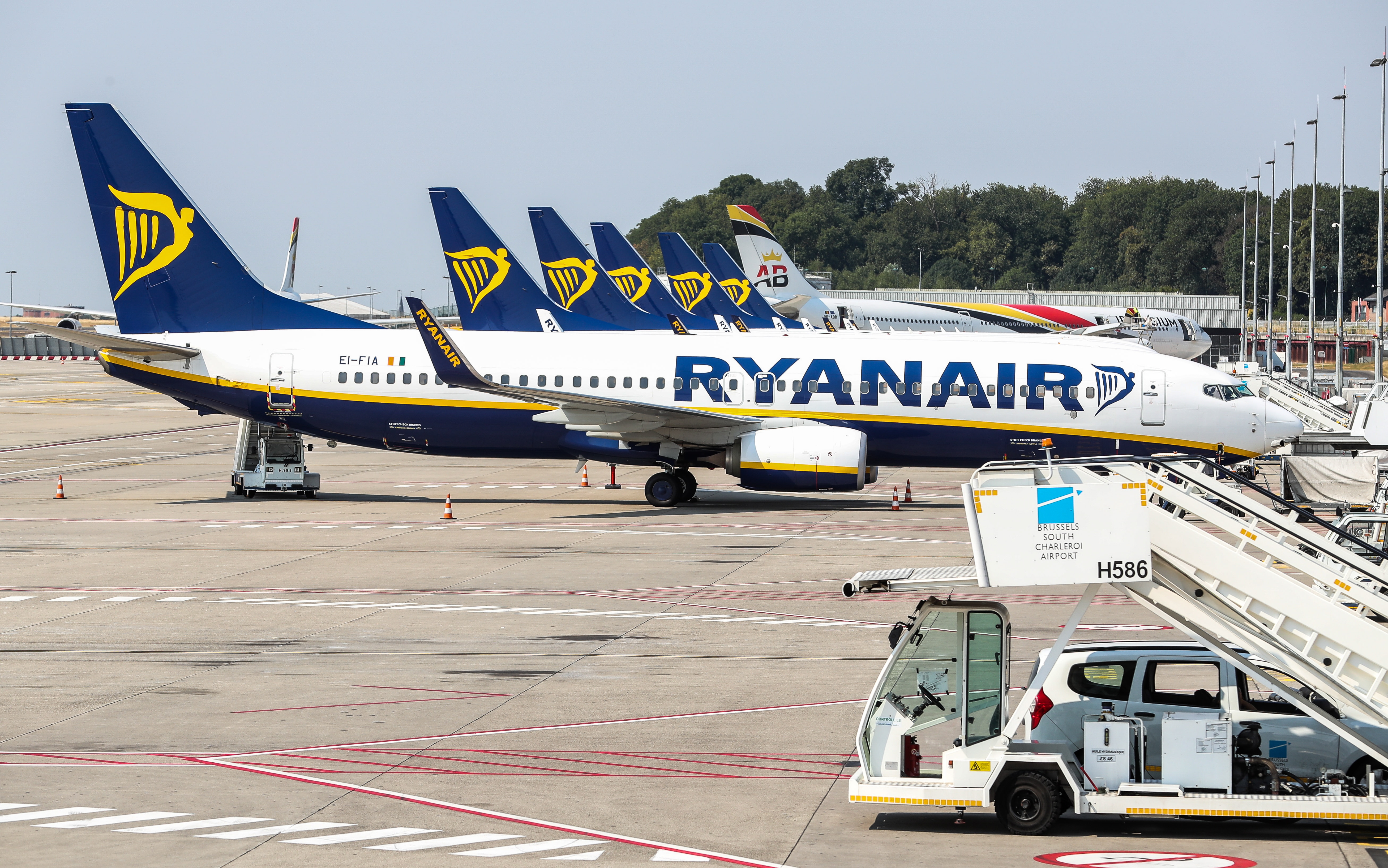 Ryanair - strajk 10 sierpnia 2018 r. w Niemczech, Belgii, Holandii,  Irlandii, Szwecji - Biznes - Forbes.pl
