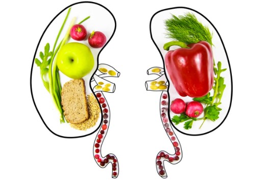 4 Foods that are good for your kidneys