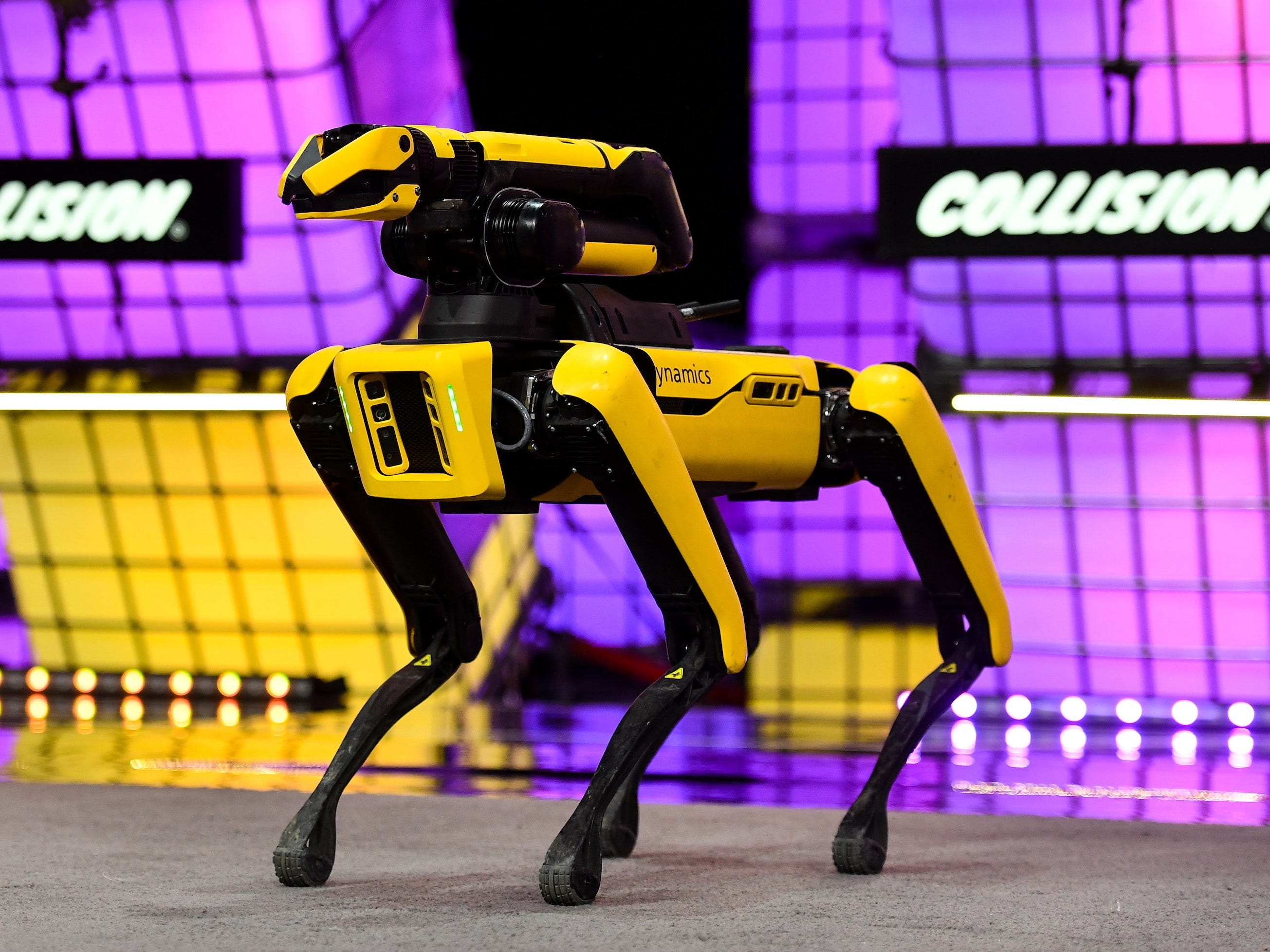 A man who lost $176 million worth of bitcoin in a dump wants to use a pair  of $75,000 robot dogs in his master plan to get it back | Business Insider  Africa