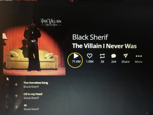 THE VILLAIN I NEVER WAS