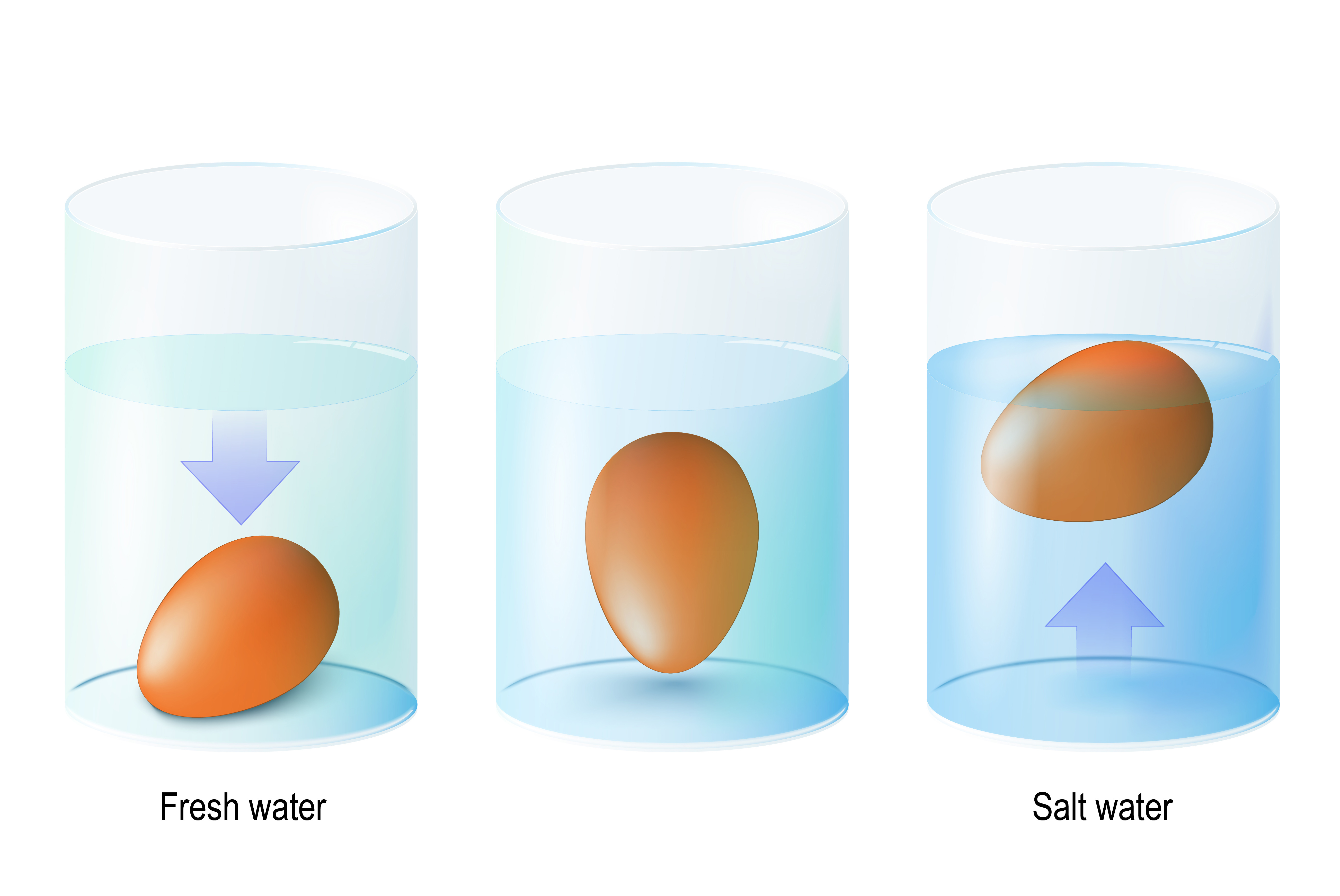 Яйца на поверхности воды. Опыт с яйцом и соленой водой. Опыт с яйцами в пресной и соленой воде. Опыт с солью и яйцом. Эксперимент с яйцом и соленой водой.