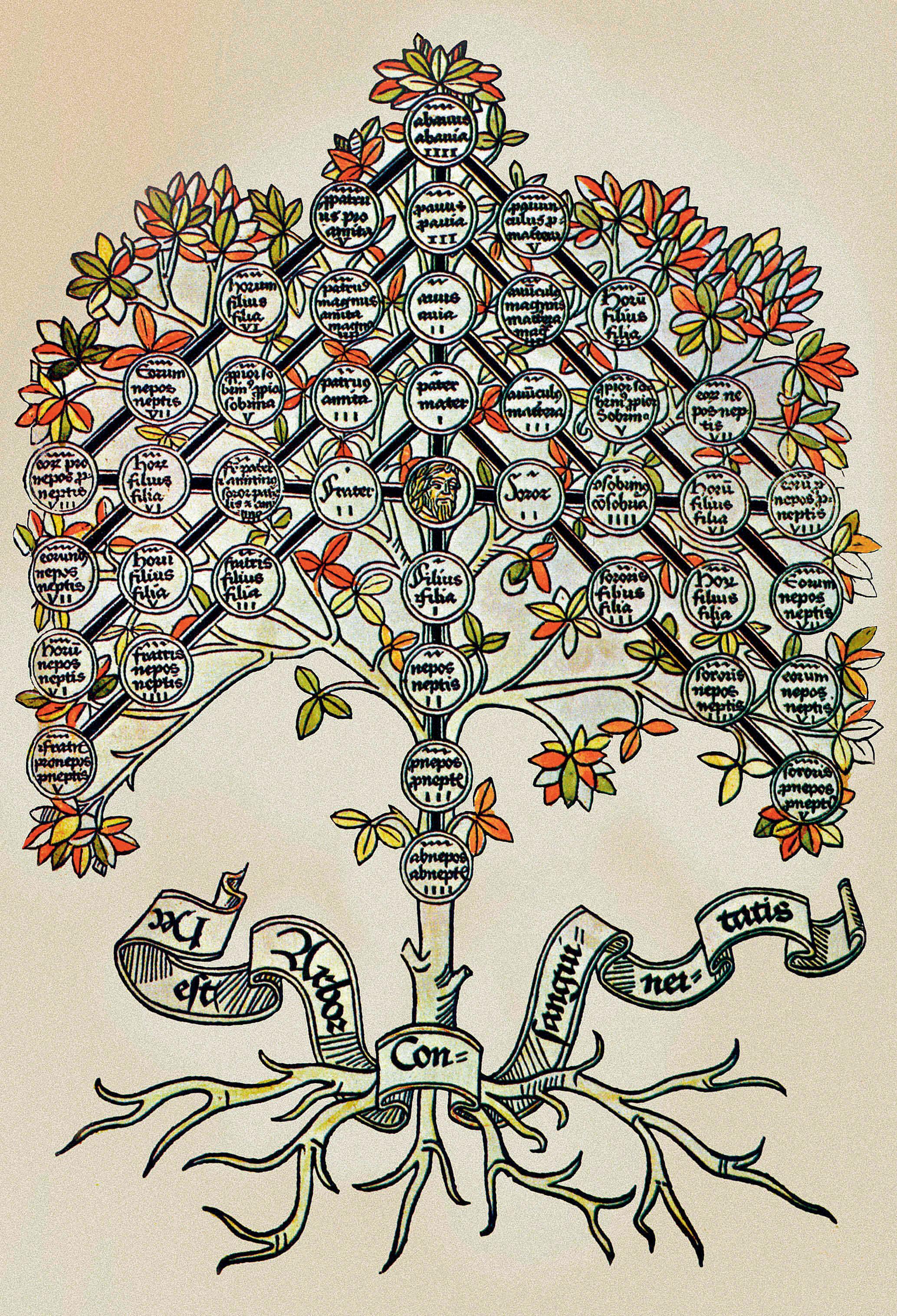 Narysuj Drzewo Genealogiczne Rodu Od Abrahama Do Józefa Drzewo genealogiczne. Genealogiczne systemy zapisu - Historia - Newsweek.pl