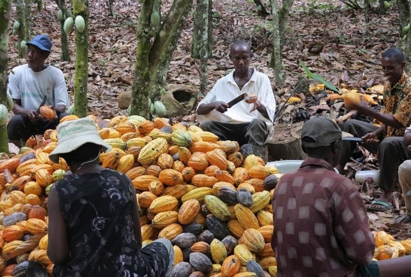 Ghana plans $1billion local bond sale to stabilise cocoa sector