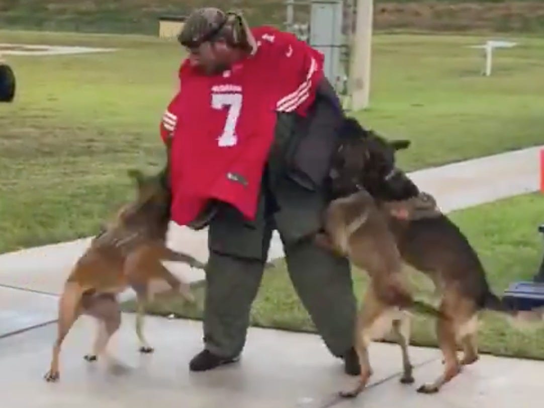 Man wearing Colin Kaepernick jersey attacked during military dog demo at  SEAL Museum