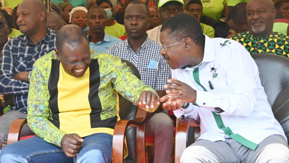 DP William Ruto says he will not make Harambee contributions until  elections end | Pulselive Kenya