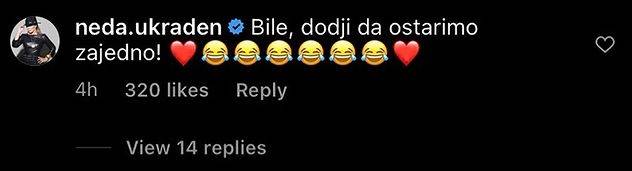 Komentar Nede Ukraden