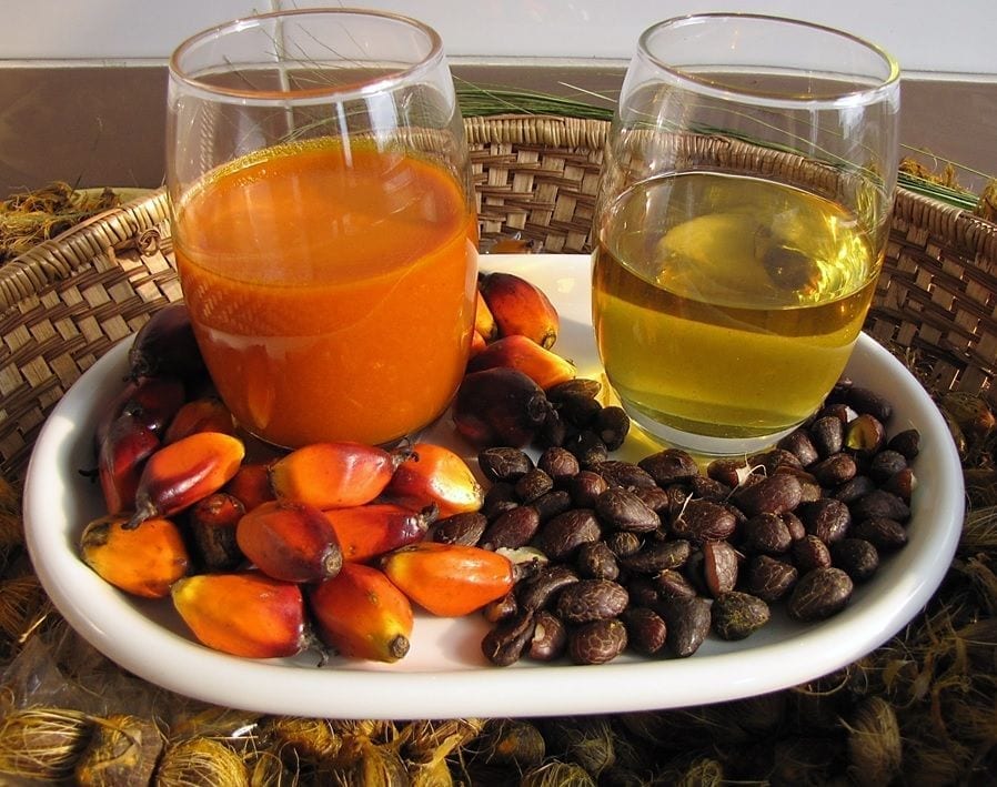 5 amazing benefits of palm kernel oil for hair