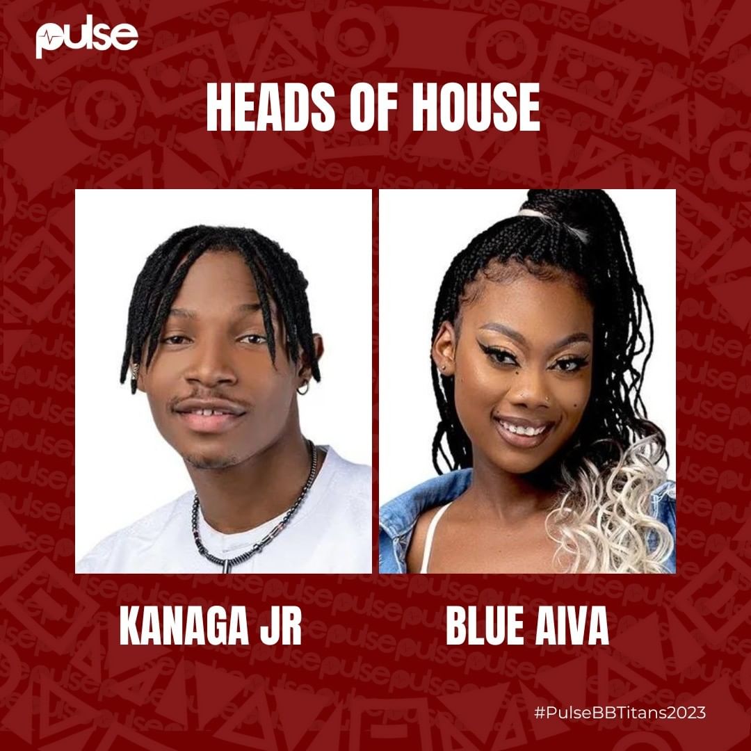 'BBTitans': Kanaga and Blue Aiva are the new Heads of House