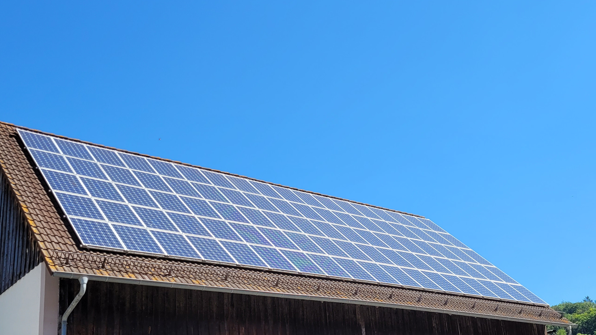 Förderung für Photovoltaik: So gibt es 10.200 € von der KfW für