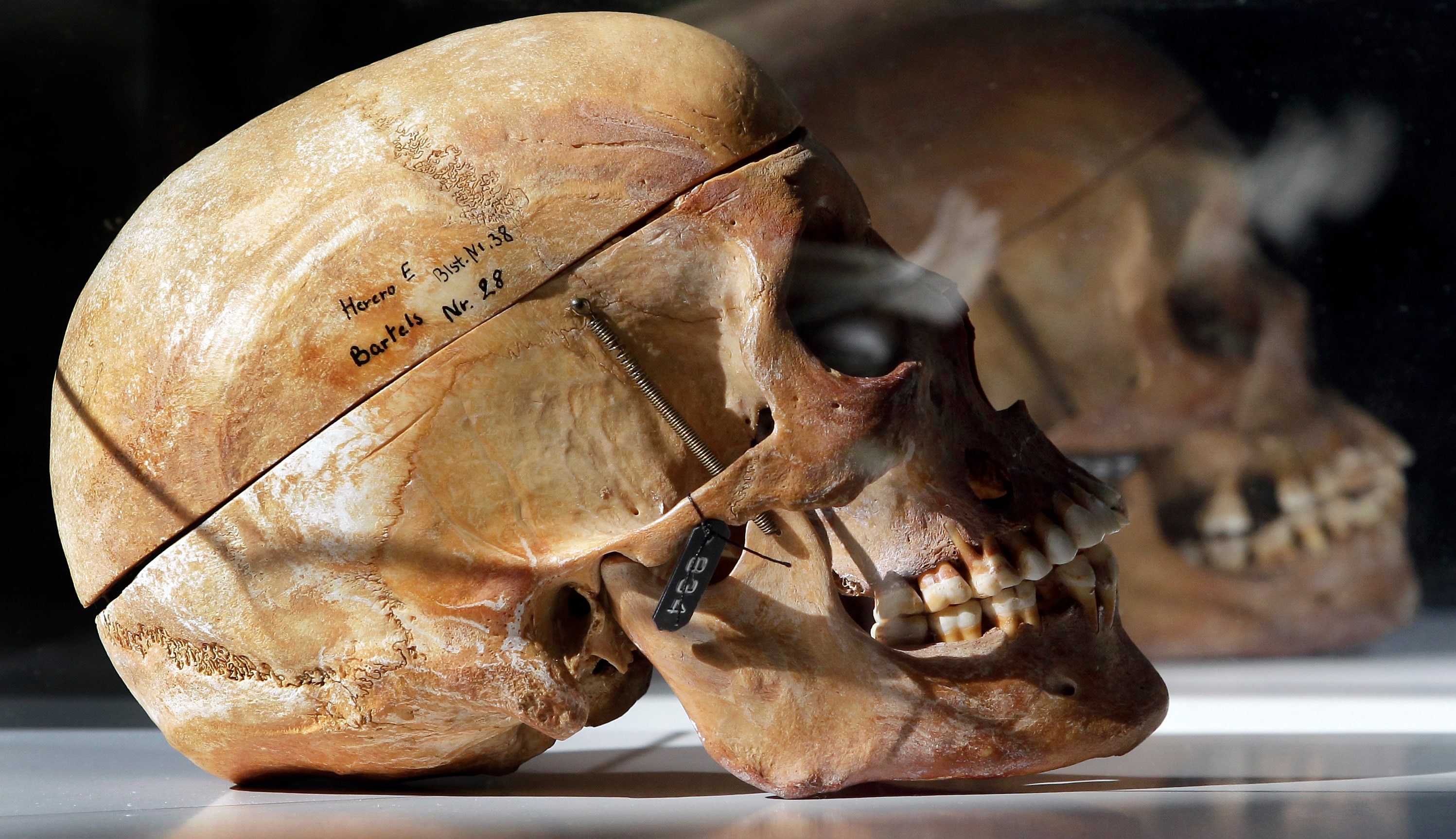 DNA of skulls pillaged by Germans have been linked to living relatives in Tanzania