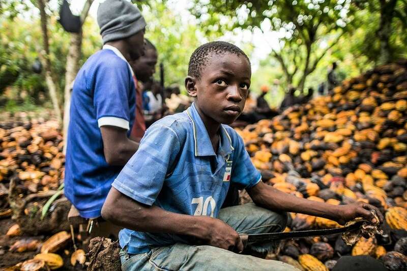 Following child labour backlash, Nestle proposes to pay African cocoa to keep their kids in school | Business Insider Africa