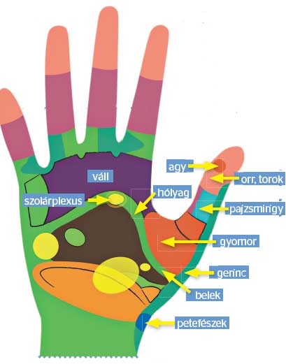Legyőzhetjük a fájdalmat tenyérmasszázzsal - Blikk