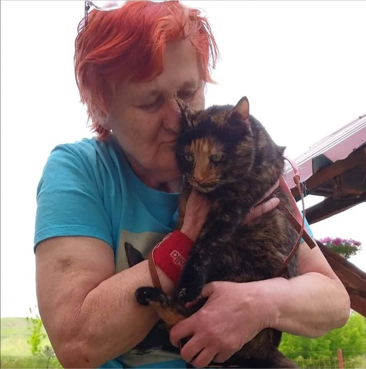 Rejtélyes módon veszett nyoma Katalin macskájának - Blikk