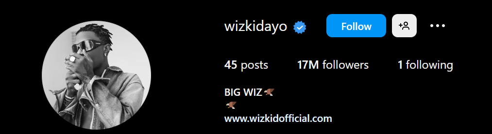 Wizkid unfollowed all celebrities except one. [Instagram]
