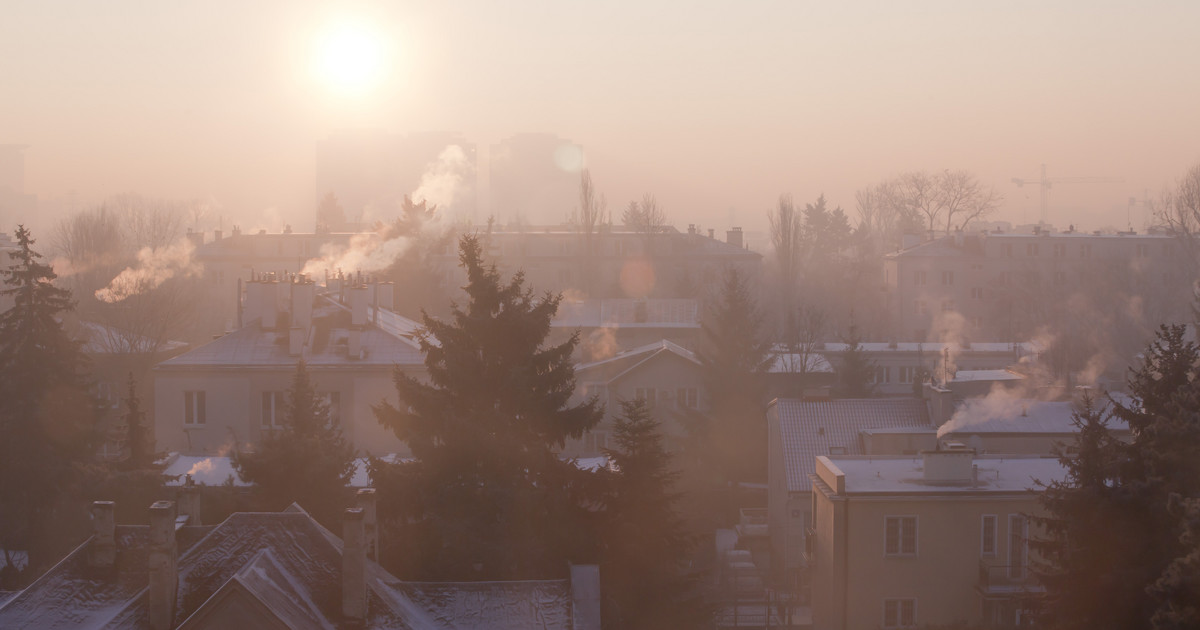 Można mieć alergię na smog. Udowodnili to krakowscy lekarze