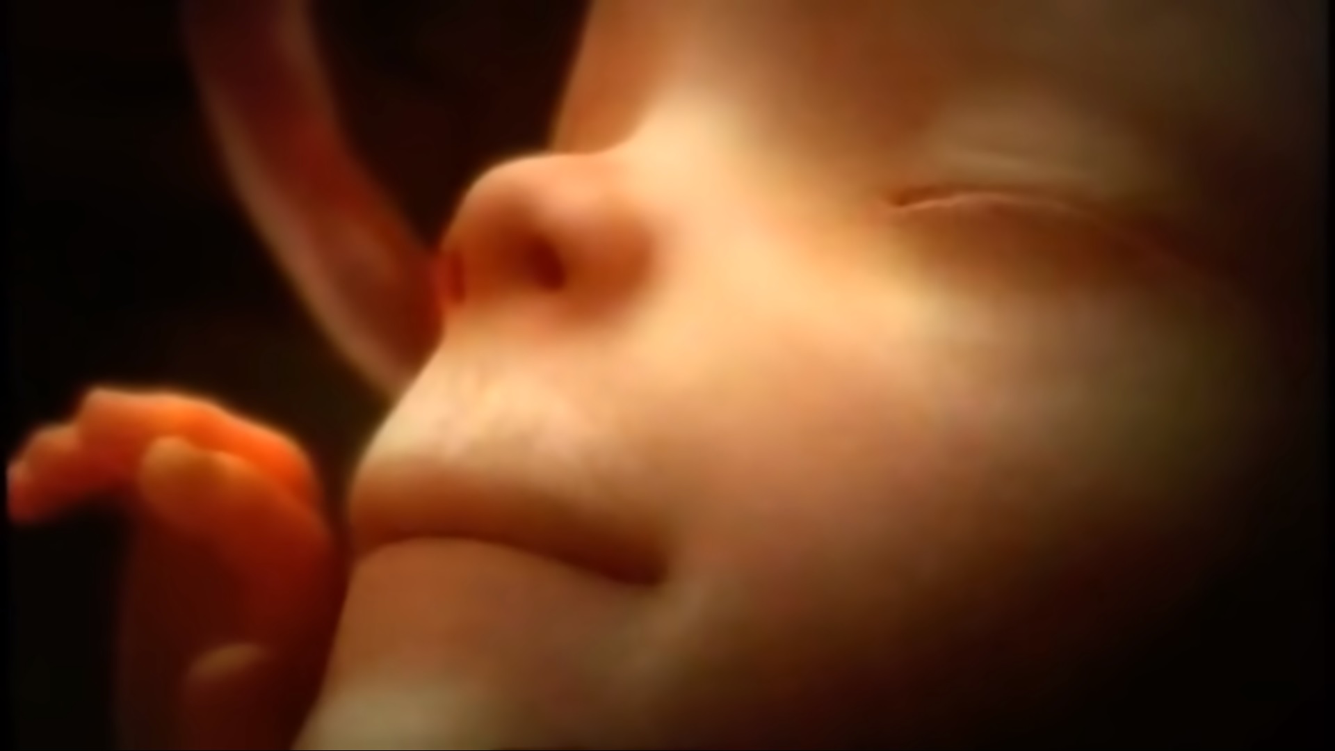 Így fejlődik ki a kisbaba az anya hasában foganástól a szülés pillanatáig -  Blikk Rúzs