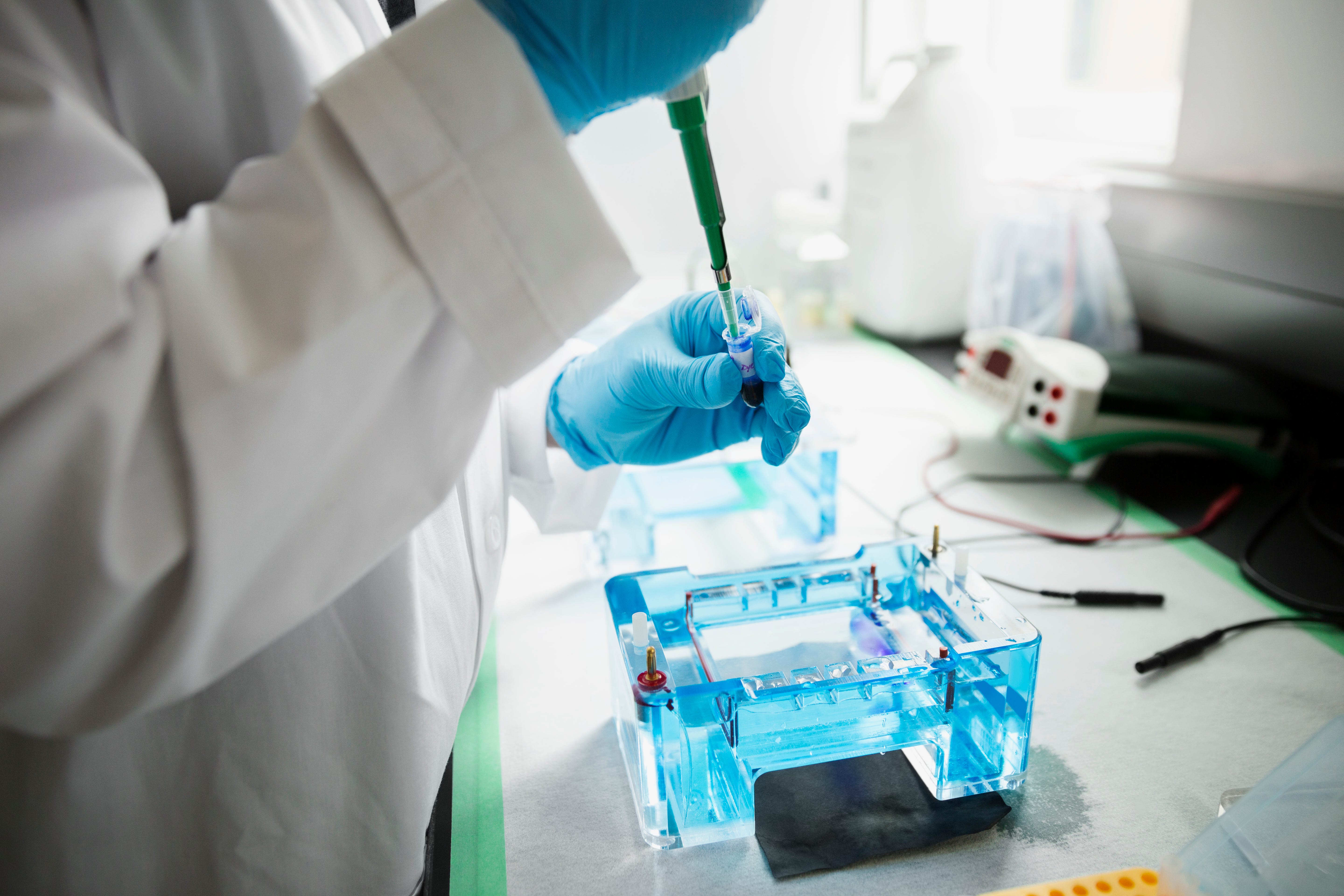 DNA testing report shows high rate of paternity uncertainty in Nigeria