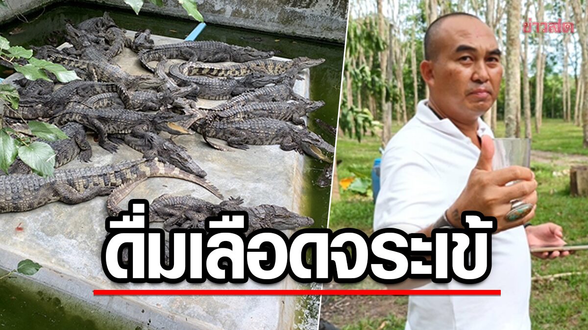 Businessman, 52, drinks crocodile blood 2 times daily, says it gives good health