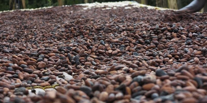 Ghana cocoa buyers owe banks up to $750m amid sector crisis