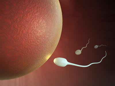 6 legenda: minden, amit rosszul tudsz a spermáról! - Blikk