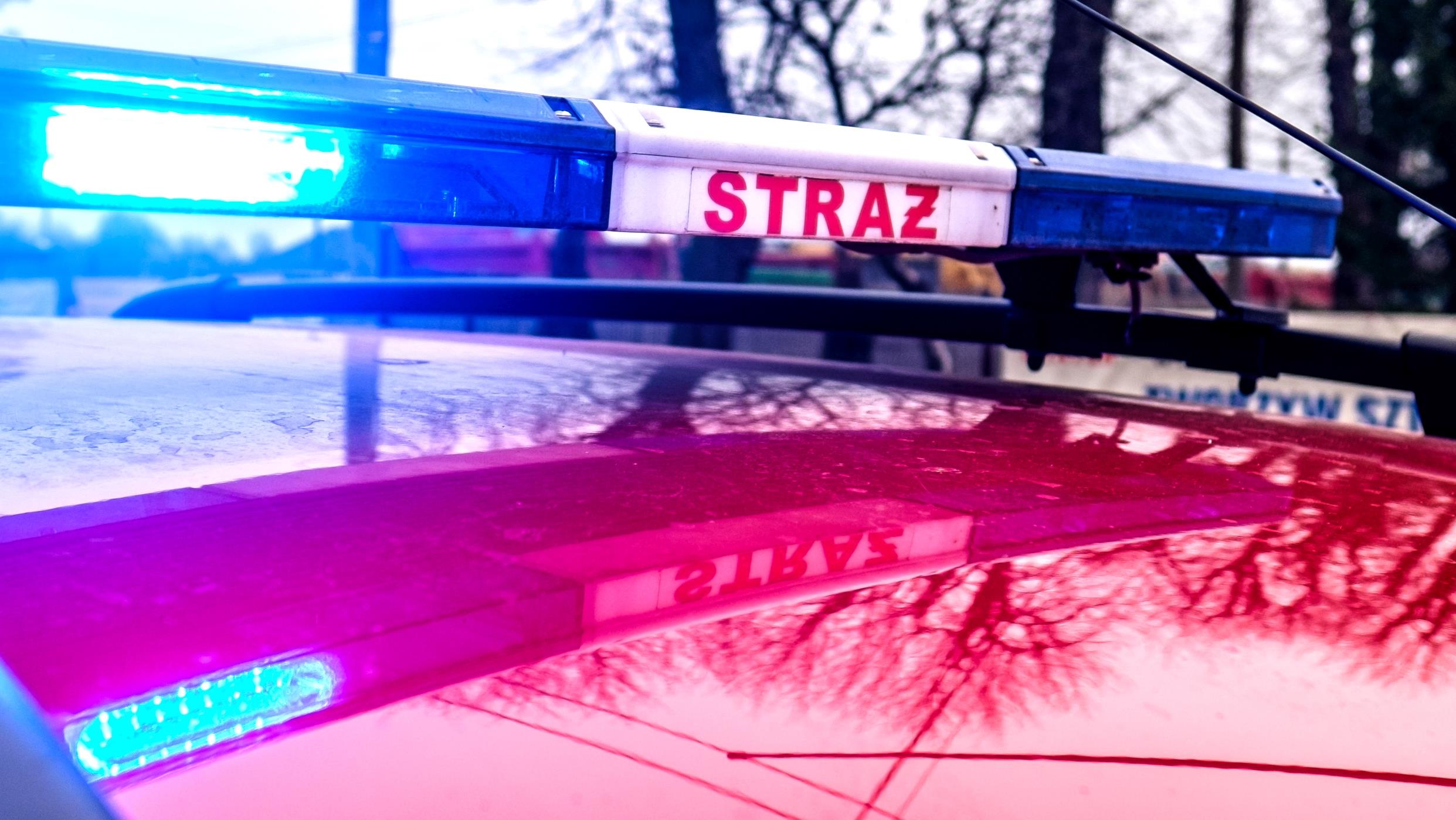 Katarzyna - Chodzie. Zadzwo Telefon: 708 577 299 wewntrzny 8 (3,69z/min) lub napisz: SMS o treci: SEX.9 i wylij pod numer 73806 (3,69z/sms) Tani sex telefon Chodzie - sex anonse w miecie Chodzie